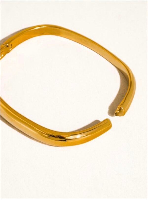 img_1814.jpg Renzi Classic Bangle