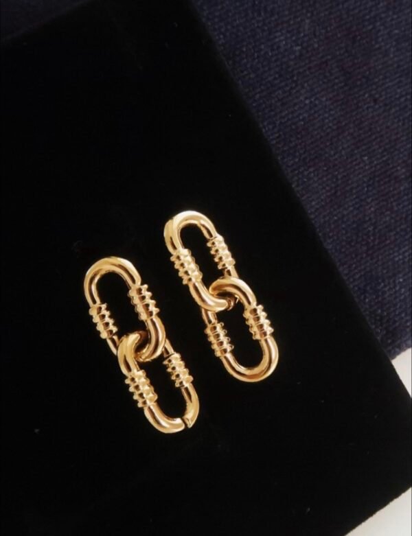 Reve Small Link Earrings