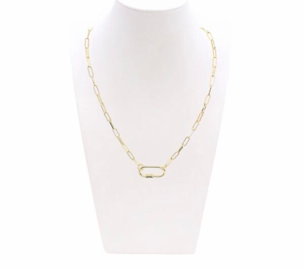 img_2196.jpg Gold Ashley Necklace with Piper Carabiner