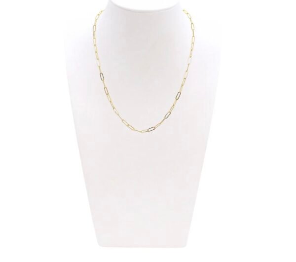 img_2199.jpg Gold Ashley Necklace